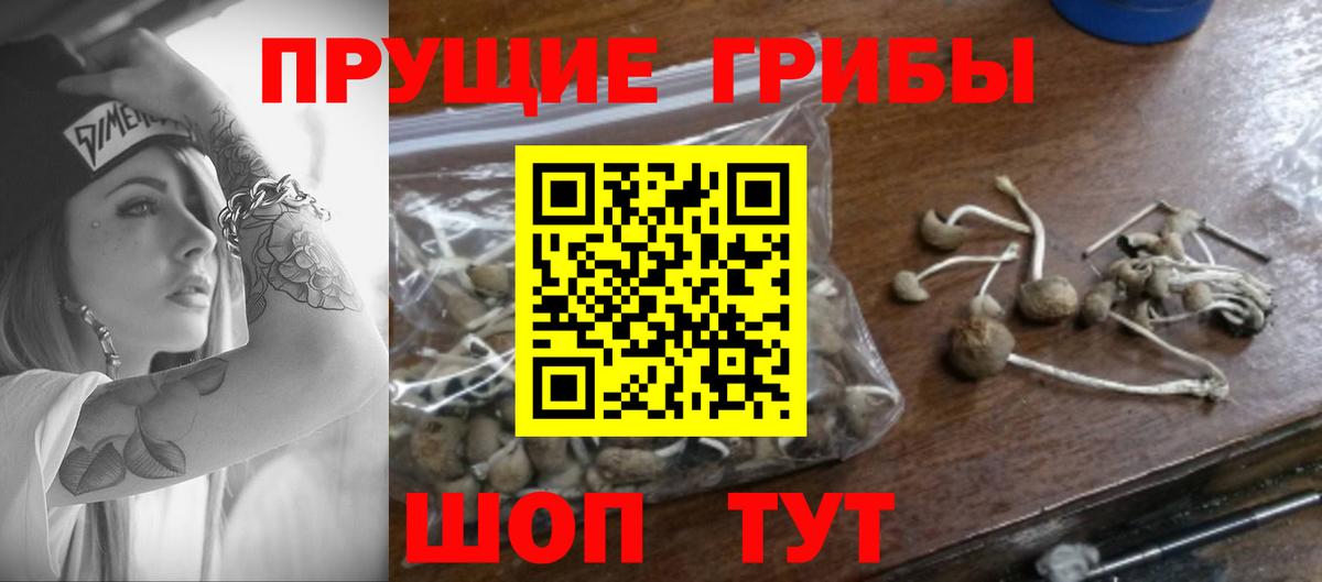 Галлюциногенные грибы мицелий  Вход с VPN  Псилоцибиновые грибы Cubensis  Абакан 